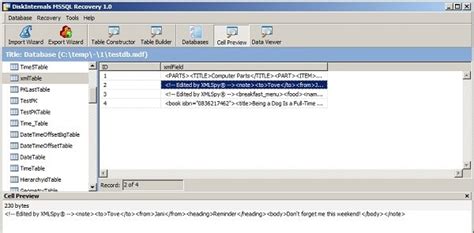 DiskInternals NTFS Recovery 5.0 Latest Version Download
