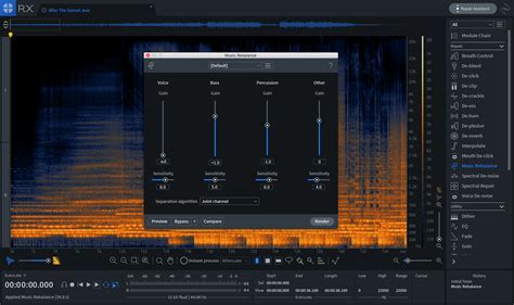 IZotope RX Elements 2025 Free Version
